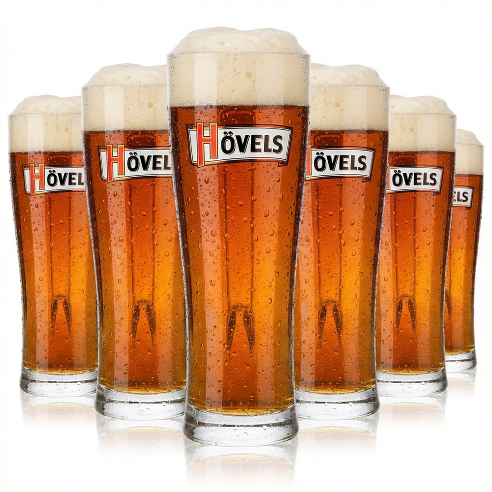 6x Hövels Bier Glas 0,3l Gläser Bierkrug Bierseidel Bierhumpen konisch Aspen