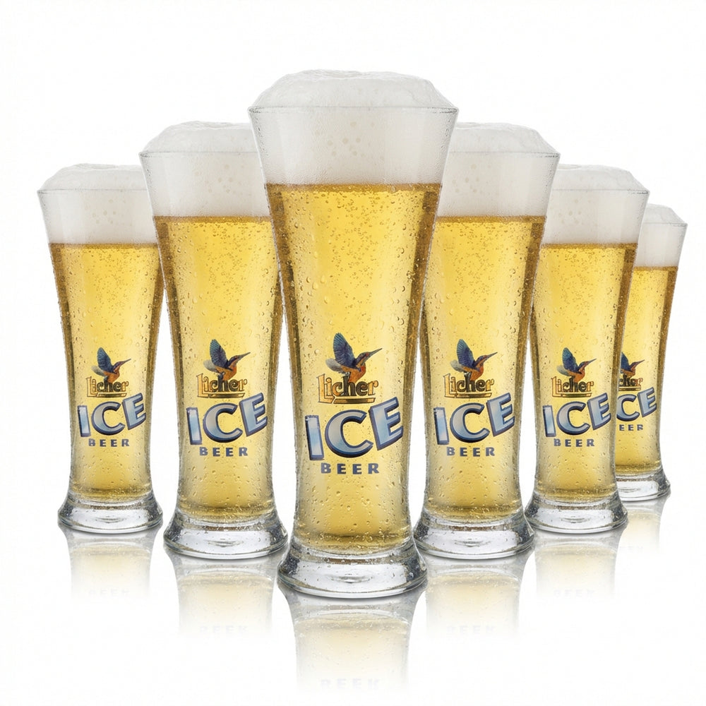 6x Licher Bierglas 0,2l Pokal Ice Beer Luminarc Martiguess Gläser Set Brauerei