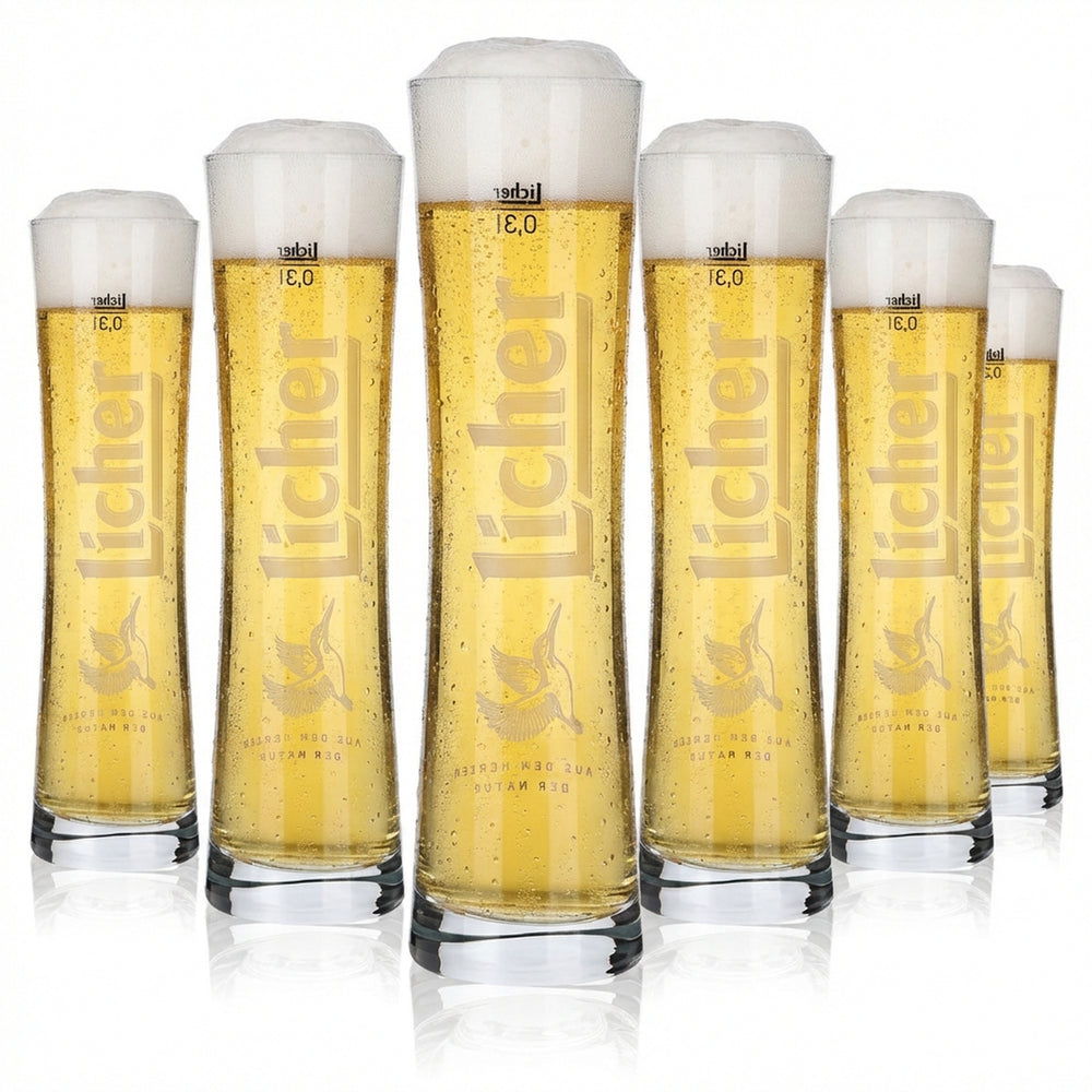 6x Licher Glas 0,3l Designglas Bierpokal Stange Gläser Set Brauerei Hessen