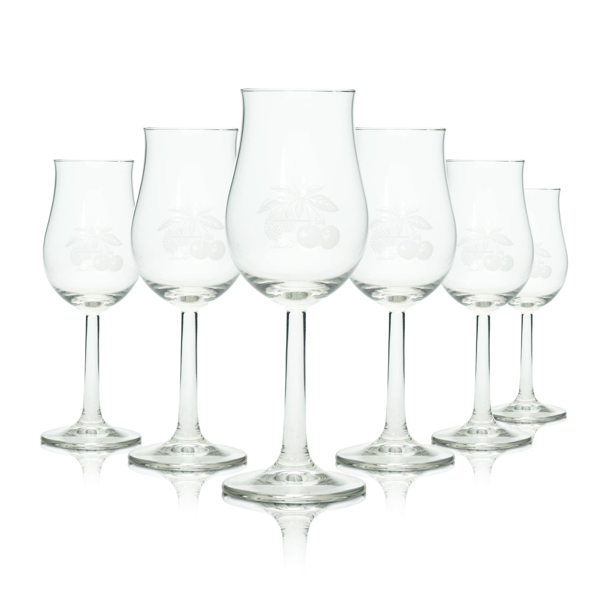 6x Scheibel Obstbrand Glas 0,1l Nosing Bugatti Aroma Gläser Tasting Sommelier