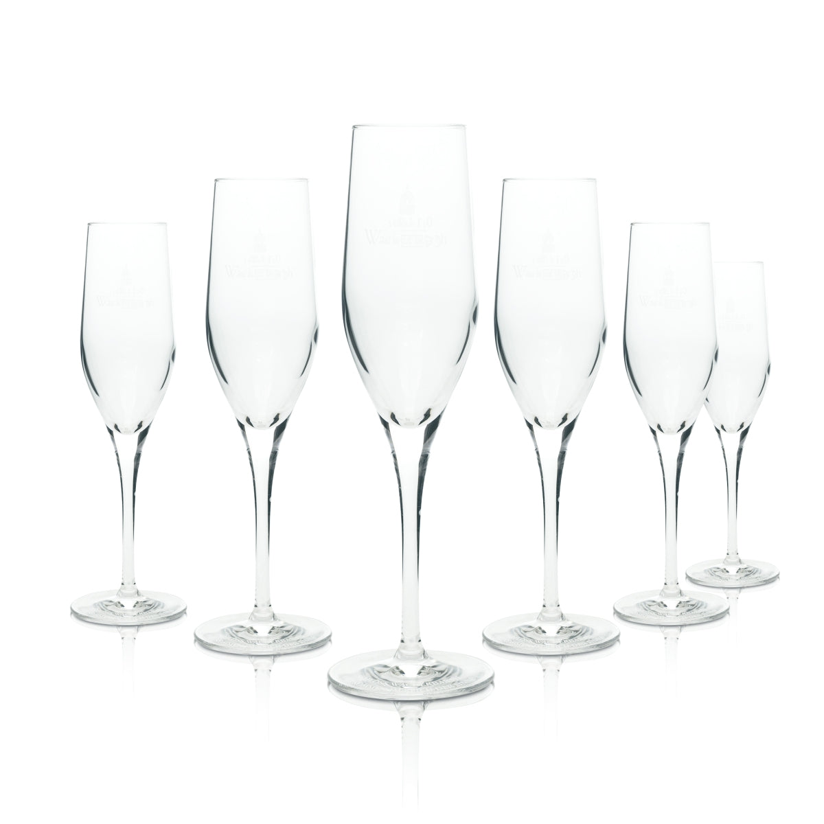 6x Schloß Wackerbarth Sekt Glas 175ml Champagnerflöte Exquisit Gläser Prosecco