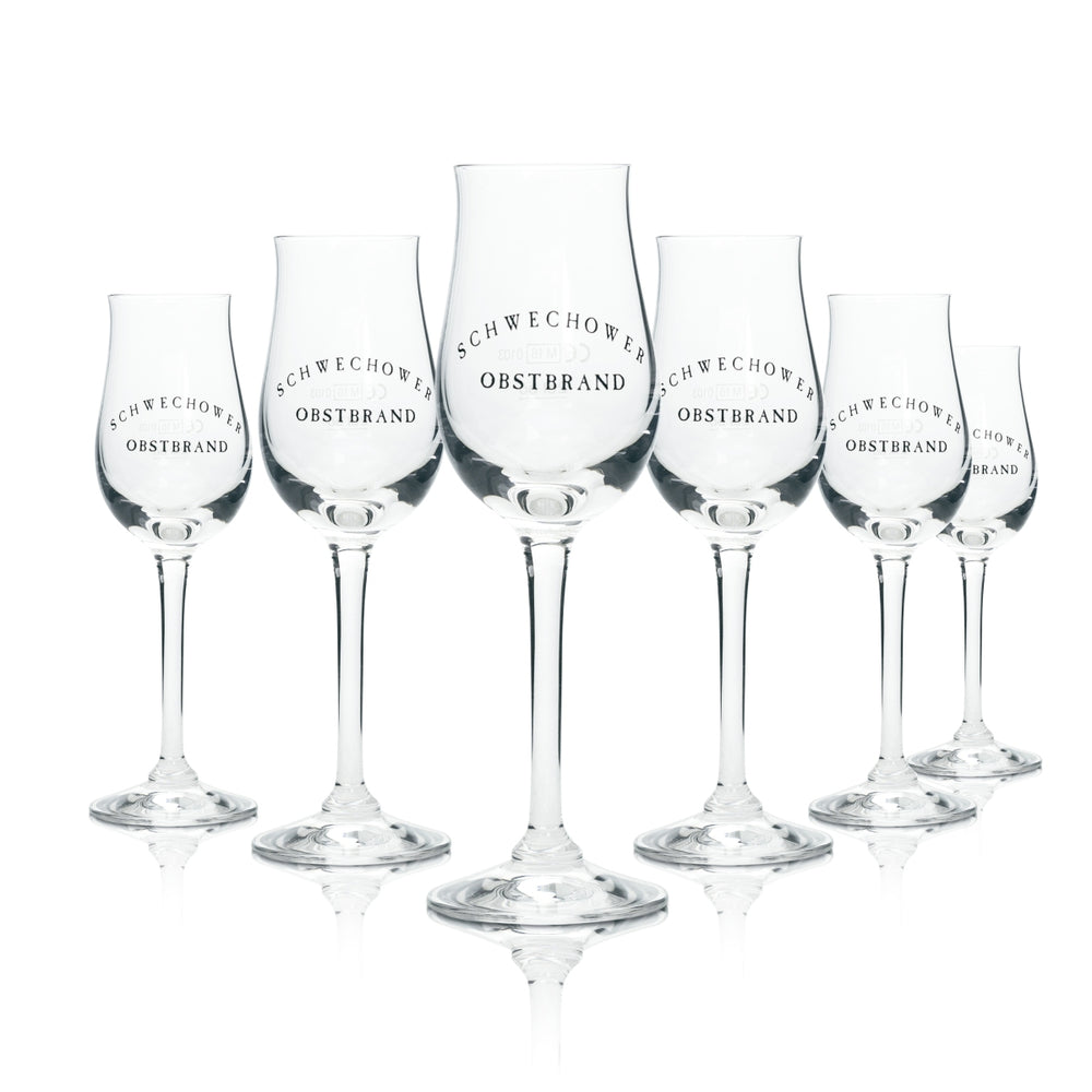 6x Schwechower Obstbrand Glas Nosing 2cl Kurze Gläser Shot Tasting Sommelier