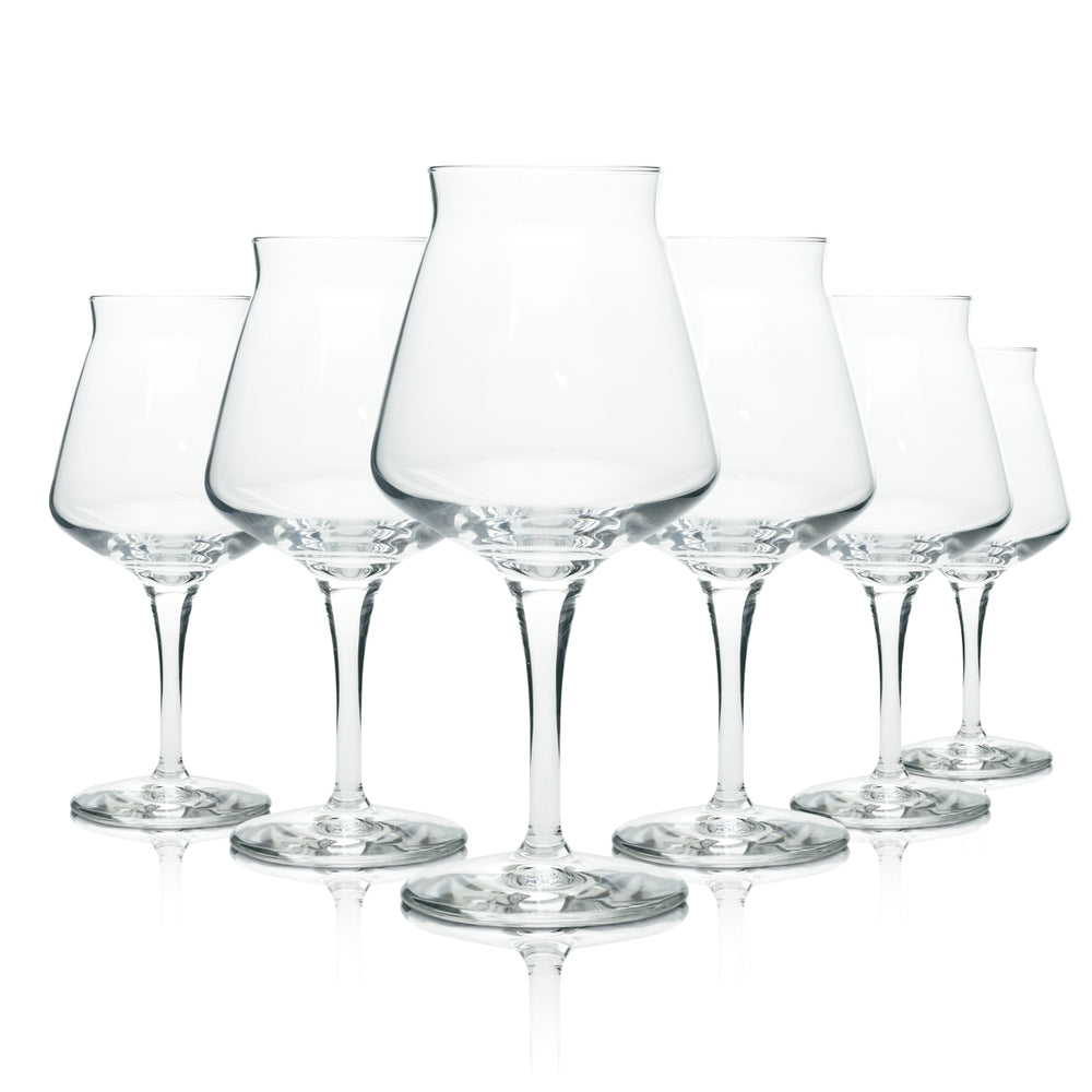 6x Teku Bier Glas 0,4l Pokal 3.0 Rastal Craft Beer Tasting Glas Sommelier Gläser