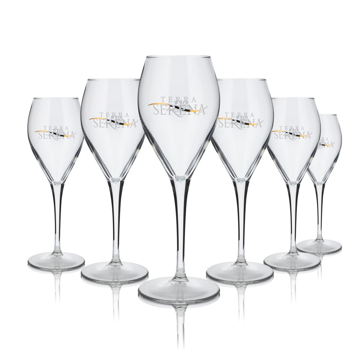 6x Terra Serena Glas 0,26l Champagner Flöte Stielglas Sekt Secco Gläser Set
