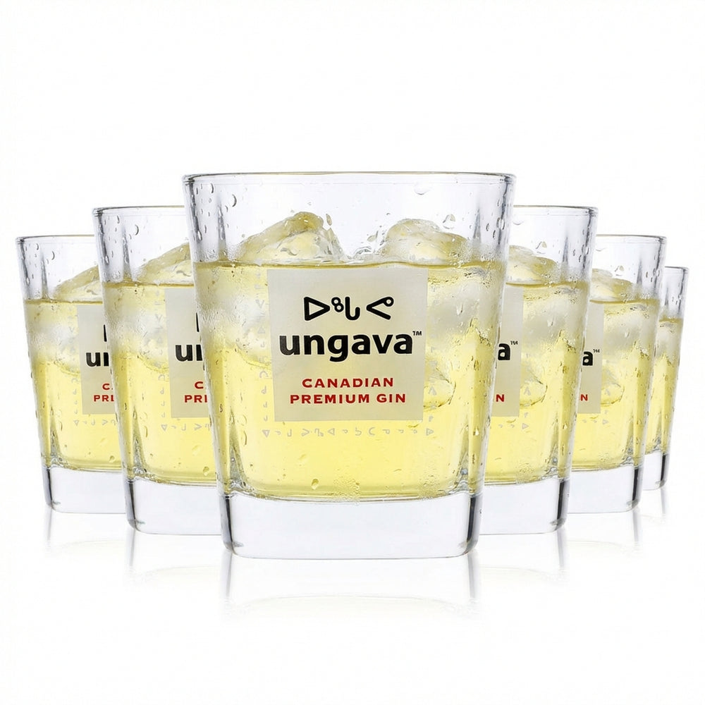6x Ungava Gin Glas Gingläser Gin Tonic Gläser 0,3l Tumbler