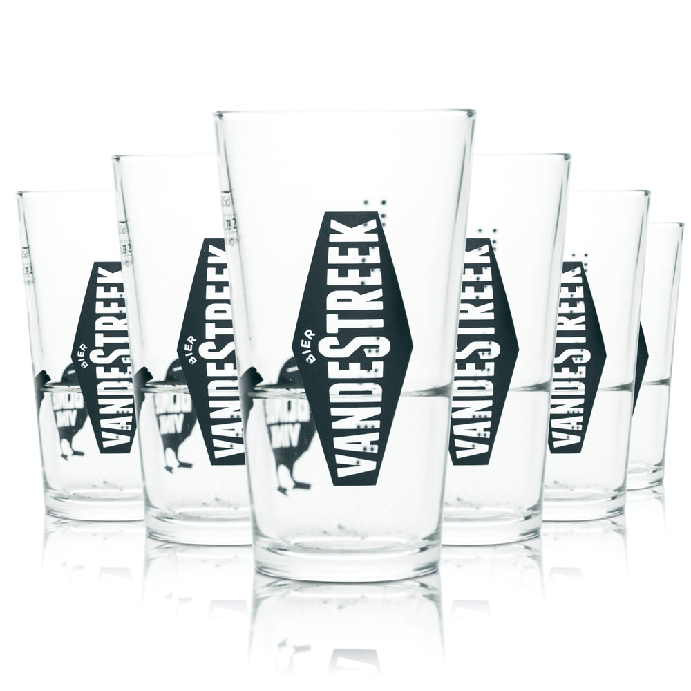 6x Vandestreek Glas 0,25l Bier Pokal Pint Becher Gläser Blinde Vink Craftbeer