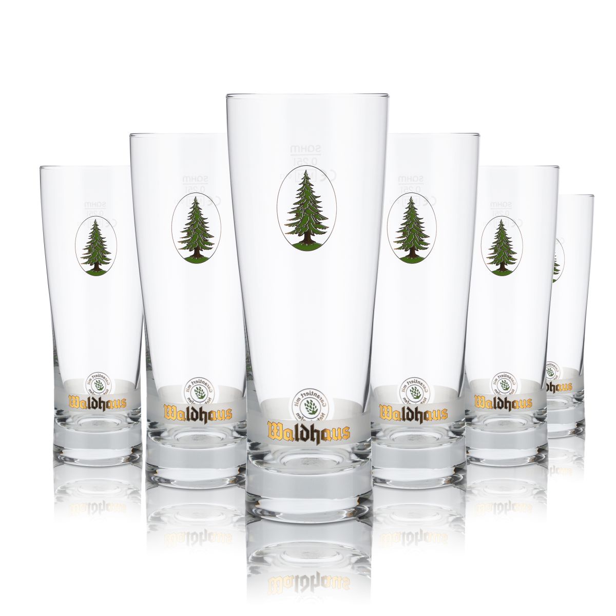 6x Waldhaus Glas 0,25l Bierglas Pokalglas Becherglas Gläser Set Brauerei Gastro