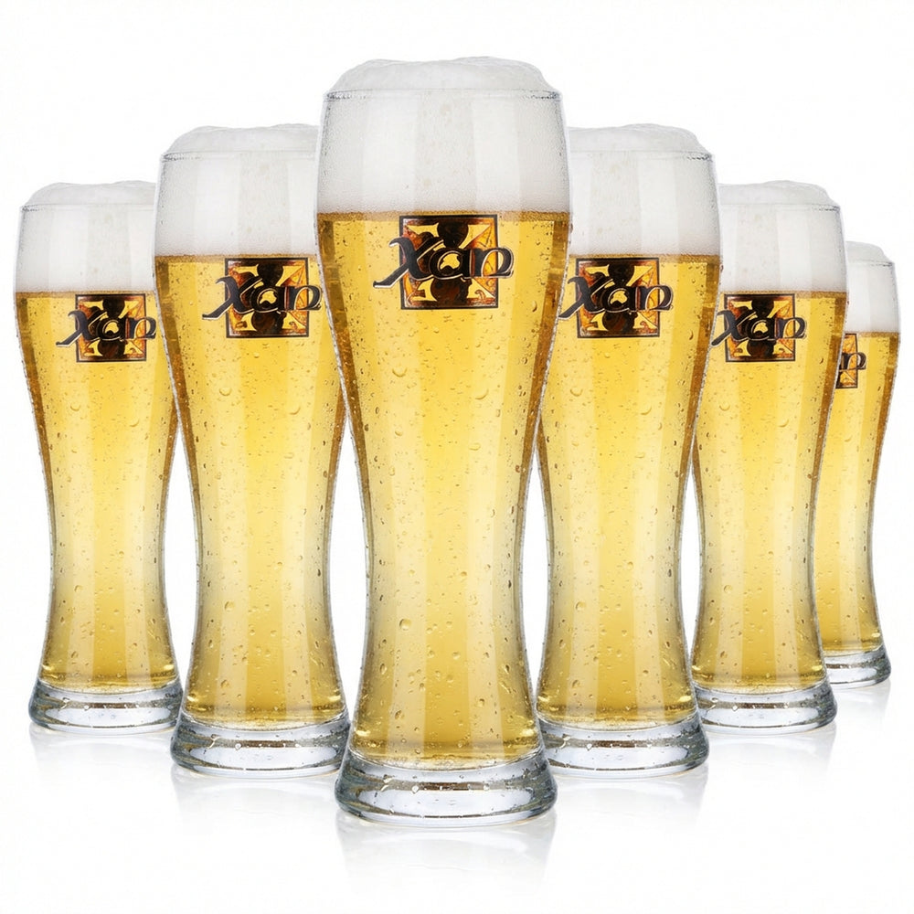 6x Xan Bier Glas 0,3l Biergläser Glas Weißbierglas Oberbayern Rastal