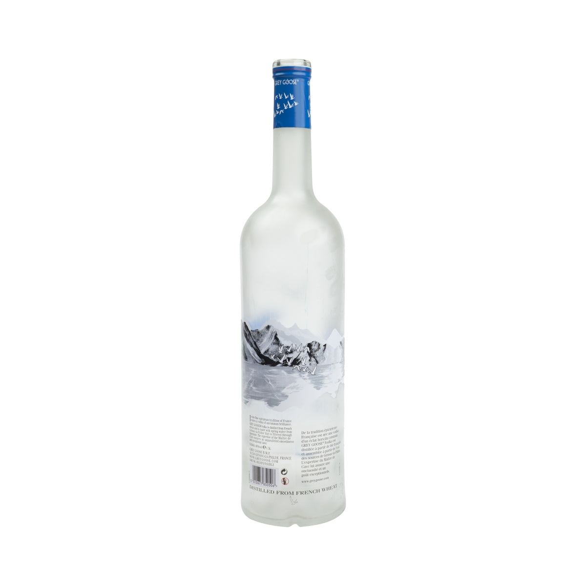 Grey Goose Vodka 1,5l leere Flasche Deko Spardose Lampe Basteln DIY EMPTY Bottle – Ansicht 3