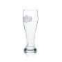 6x Texels Weißbierglas 0,3l Weizen Hefe Kontur Gläser Gastro Bar Kneipe Beer BEL