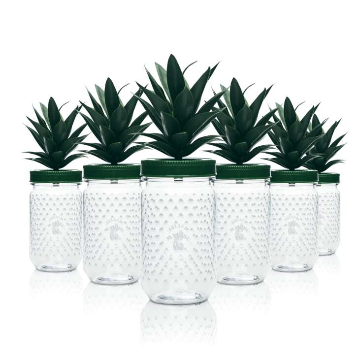 6x Malibu Likör Glas 0,4l Plastik Ananas Gläser mit Deckel Palme Becher Mehrweg