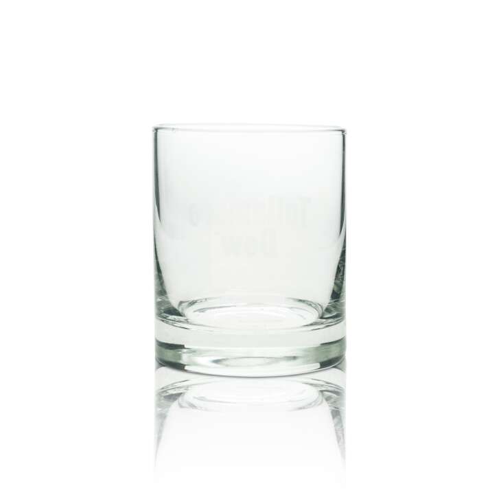 6x Tullamore Dew Whiskey Glas 0,37l Tumbler Longdrink Gläser Geeicht Gastro Bar