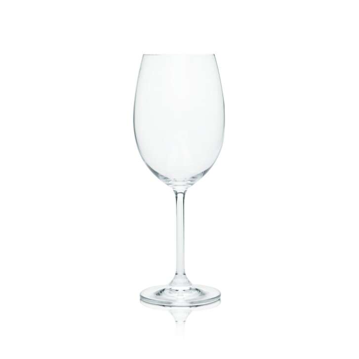 Sahm Glas 0,45l Weiß Wein Stil Kelch Gläser Colibri