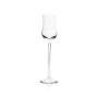 1x Veuve Clicquot Champagner Glas Ponsardion Fl&ouml;te hoch Tasting