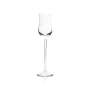 Veuve Clicquot Glas 0,1l Champagner Sekt Flöte Kelch Nosing Tasting Gläser Edel