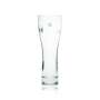 6x Franziskaner Bier Glas 0,5l Weizen Royal Jahrgang Weizen Sahm Hefe Gläser