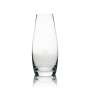 1x Evian Wasser Karaffe 1l Glas
