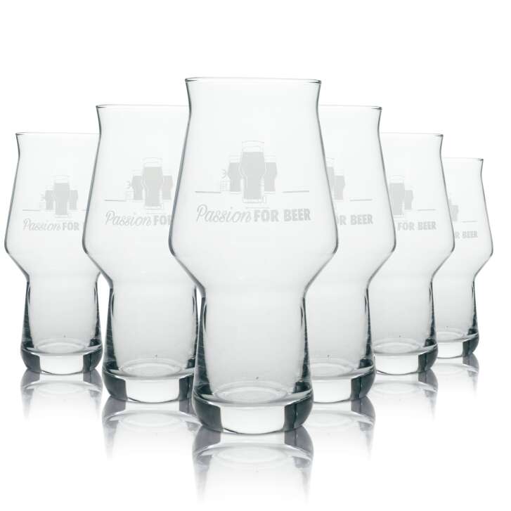 6x Passion for Beer Bier Glas Tumbler Craft Master one 300ml rastal