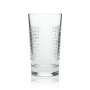 6x Botanist Glas 0,36l Gin-Tonic Longdrink Cocktail Fizz Kontur Gläser Islay UK
