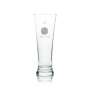 6x Fosters Glas 0,3l Bier Pokal Beer Cup Gläser Australia Gastro Eiche Calibrate