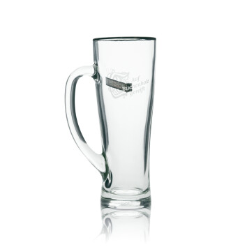 6x Duckstein Bier Glas 0,5l Krug Aspen Sahm