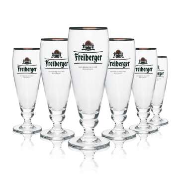 6x Freiberger Bier Glas Exklusivglas 0,3l Einzeln...