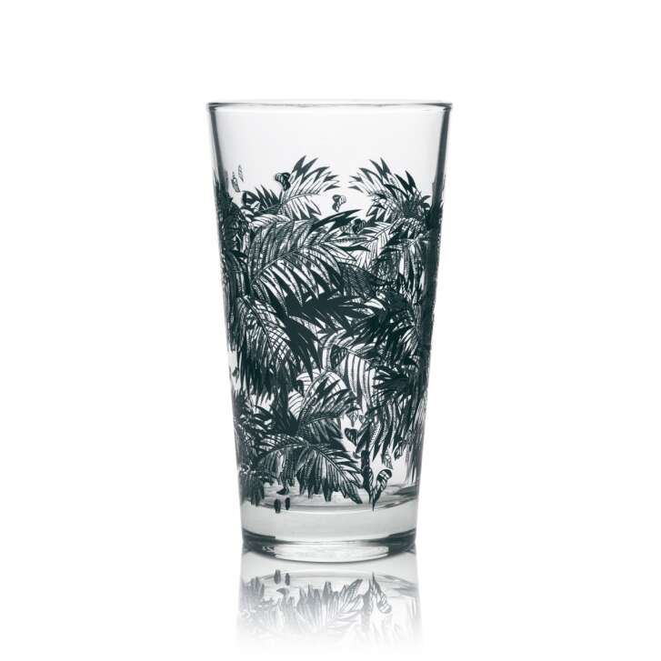6x Bacardi Whiskey Glas Longdrinkglas Plamenaufdruck dunkel