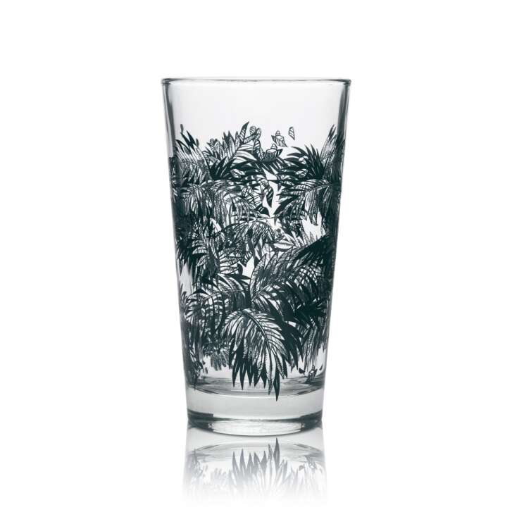 6x Bacardi Whiskey Glas Longdrinkglas Plamenaufdruck dunkel