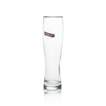 6x Duckstein Bier Glas Pilsener 0,5l Silberrand