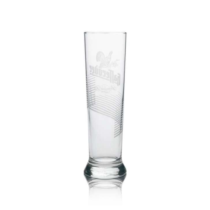 6x Hasseröder Bier Glas Relief Premium Pils 300ml