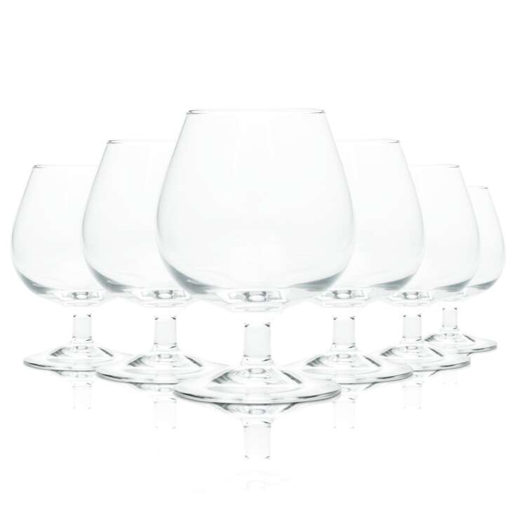 6x Remy Martin Cognac Glas Schwenker Whisky Gläser Nosing Tasting Sommelier