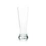 6x Landskron Bier Glas Kelch 0,5l Rastal Tulpe Gläser Pokal Relief Druck Pils