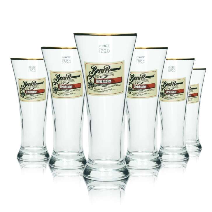 6x Berg Brauerei Bier Glas 0,25l Ulrichsbier Tuborg Sahm Pokal Gläser Tulpe Pils
