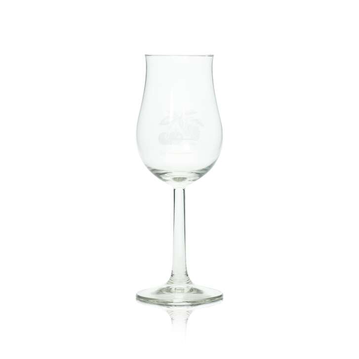 6x Scheibel Obstbrand Glas 0,1l Nosing Bugatti Aroma Gläser Tasting Sommelier