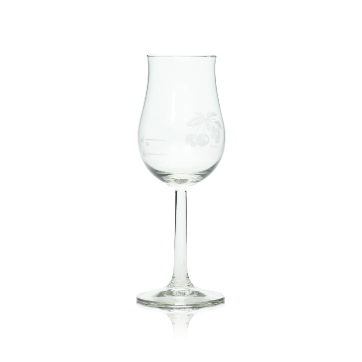 6x Scheibel Obstbrand Glas 0,1l Nosing Bugatti Aroma Gläser Tasting Sommelier