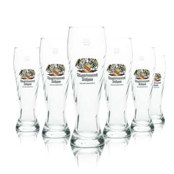 6x Rothaus Staatsbrauerei Bier Glas 0,3l Weißbier Hefe Weizen Gläser Relief Beer