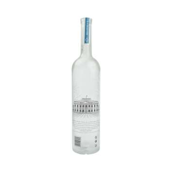 Belvedere Vodka 3l leere Flasche mit LED Deko Lampe Spardose Empty Bottle Bar