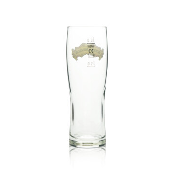 Sierra Nevada Bier Glas 0,3l Becher American Pint...