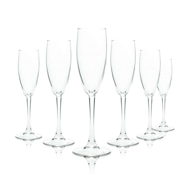 6x Torreblanca Sekt Glas 0,1l Flöte Cava Rose Gläser Champagner Prosecco Party