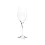 6x Canard Duchêne Champagner Glas 0,2l Flöte Gläser Sekt Flute Stieglas elegant