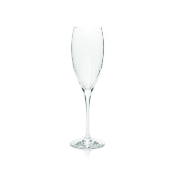 Dom Perignon Champagner Glas Flute Gläser Flöte...