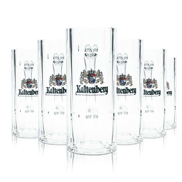 6x Kaltenberg Bier Glas 0,3l Krug Wallenstein Sahm Seidel Relief Gläser Henkel