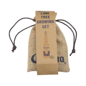 Corona Bier Growset Kit Seed Samen Lime Limette Tree Baum...