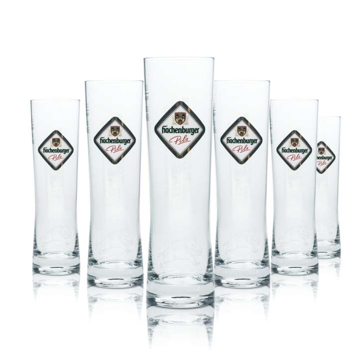 6x Hachenburger Bier Glas 0,3l Becher Stange Pokal Gläser Gastro Bar Pils Beer