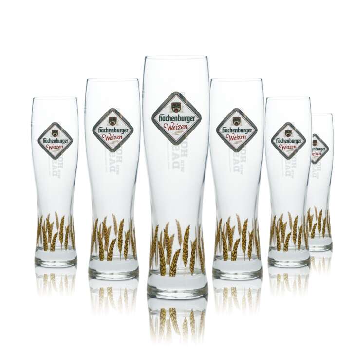 6x Hachenburger Bier Glas 0,3l Weißbier Weizen Hefe Pokal Gläser Gastro Bar