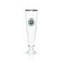 6x Warsteiner Bier Glas 0,25l Pokal Tulpe Goldrand Gläser Brauerei Gastro Pils