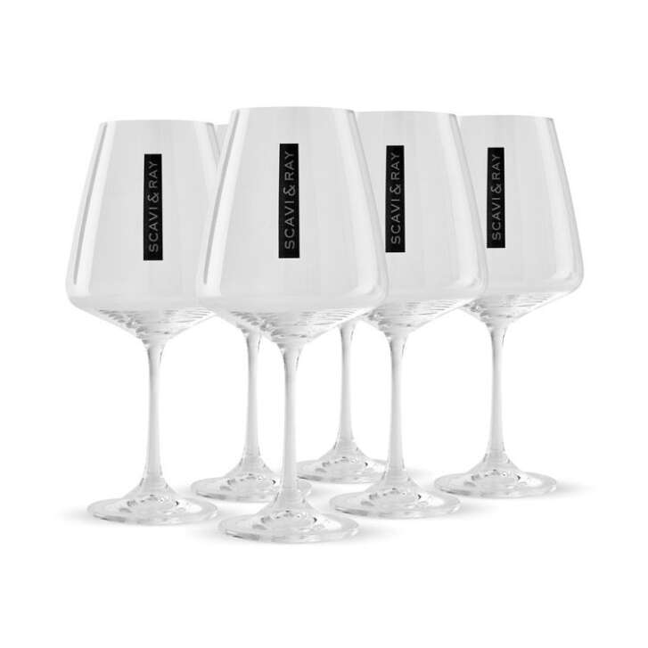 6x Scavi & Ray Sekt Glas 0,2l Wein Prosecco Champagner Gläser Friz Rot Weiß