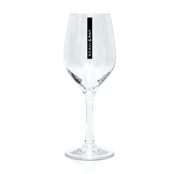 6x Scavi & Ray Sekt Kunststoff Glas 0,2l Wein Champagner Secco Gläser Acryl Bar